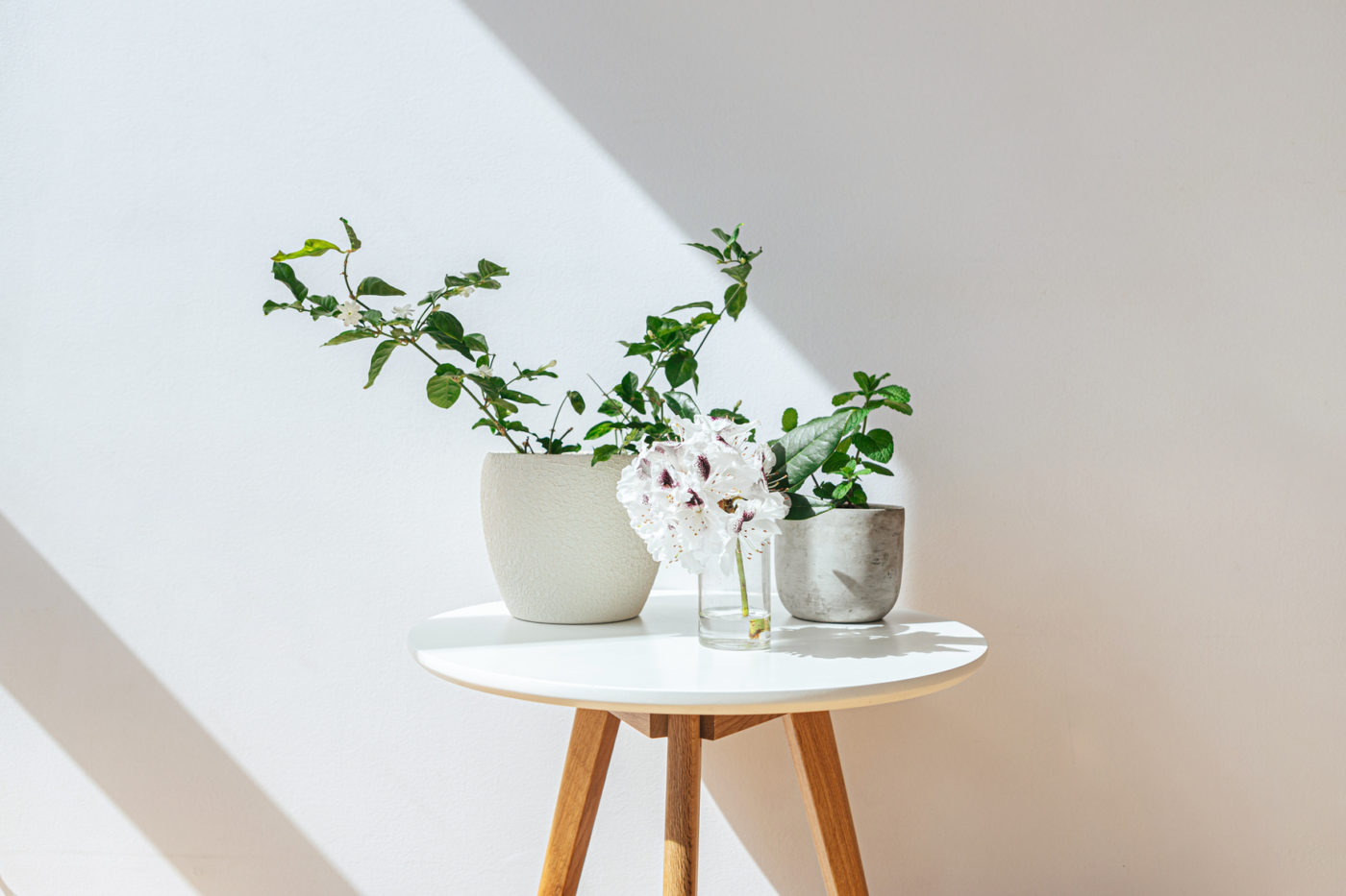 flowers in vases on white tabletop with wooden legs